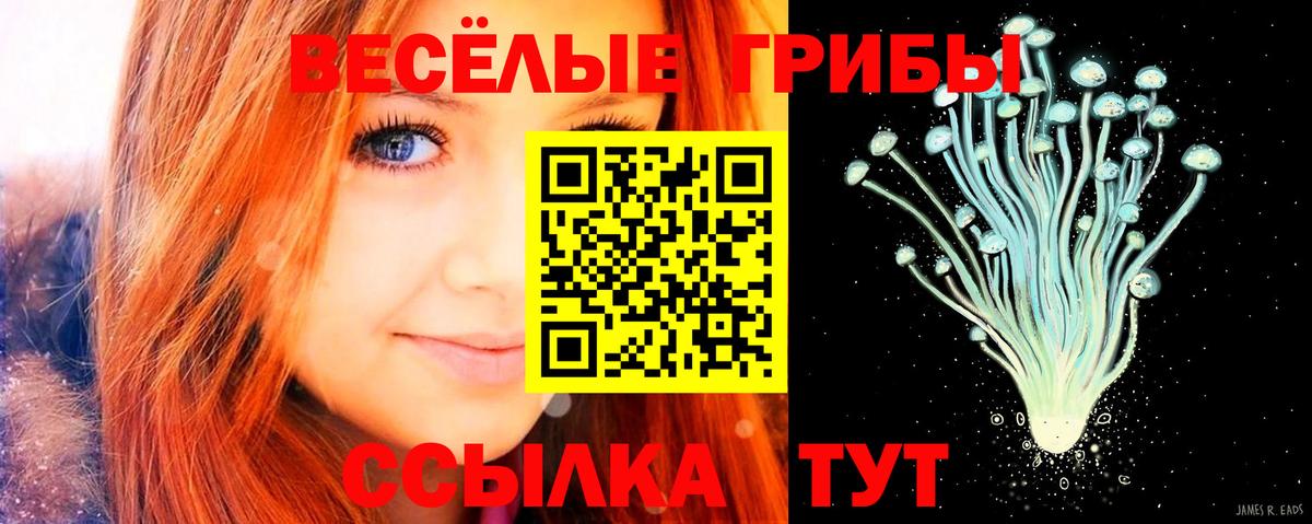 Псилоцибиновые грибы ЛСД Ирбит